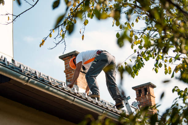 Best Roof Inspection  in USA